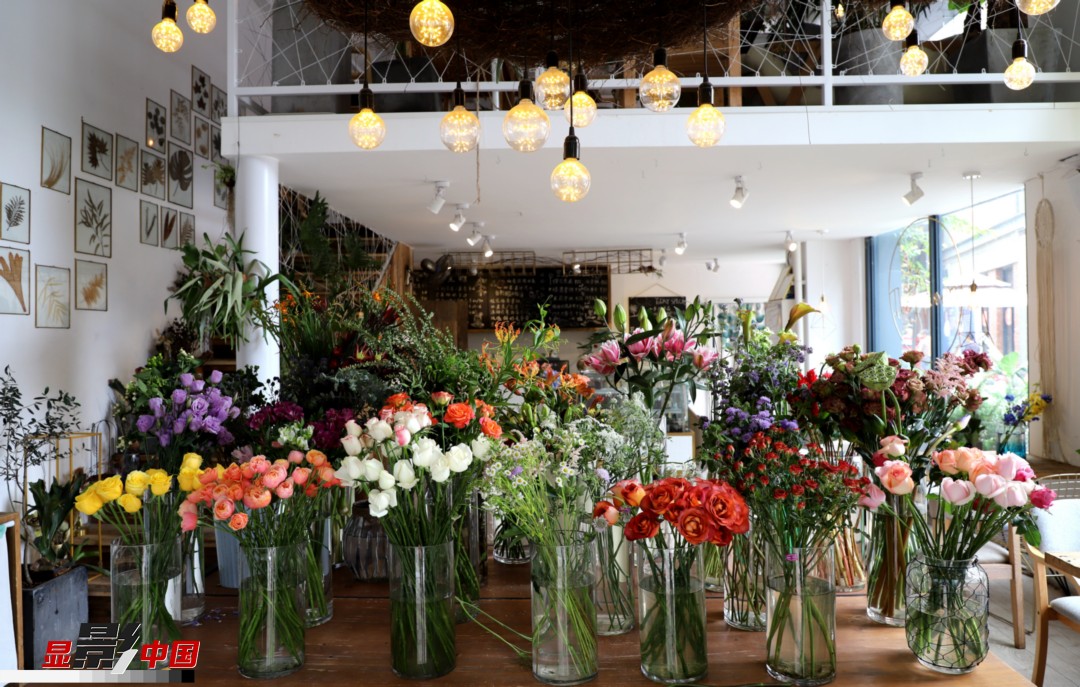 從決定從事鮮花這個行業(yè)以來，王黎媛花了很多的時間和精力去學(xué)習(xí)花藝，不斷提高自己的專業(yè)水平。而在小店的選址、裝修和布置方面，王黎媛同樣花費(fèi)了不少心思，“希望我的小店和鮮花一樣，是有溫度的、鮮活的?！绷硗?，小小的花店也藏著大大的夢想，“我們云南鮮花很多，但真正做成品牌的卻很少，這是非?？上У摹Ｎ蚁Ｍ盐业牡曜龀善放?，不光能扎根昆明，還能落地到云南的其他城市，甚至省外的城市。”圖為王黎媛的花店一角。新華網(wǎng) 周亞平/攝 念新洪/文