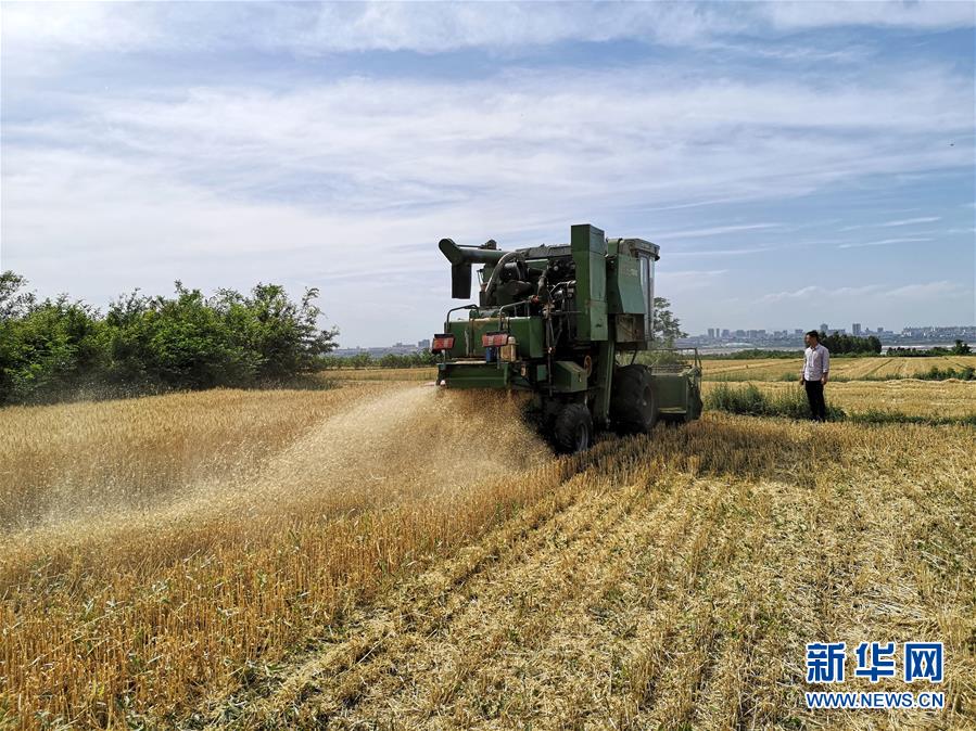 1126044079_15906337555691n.jpg 1126044079_15906337555691n.jpg