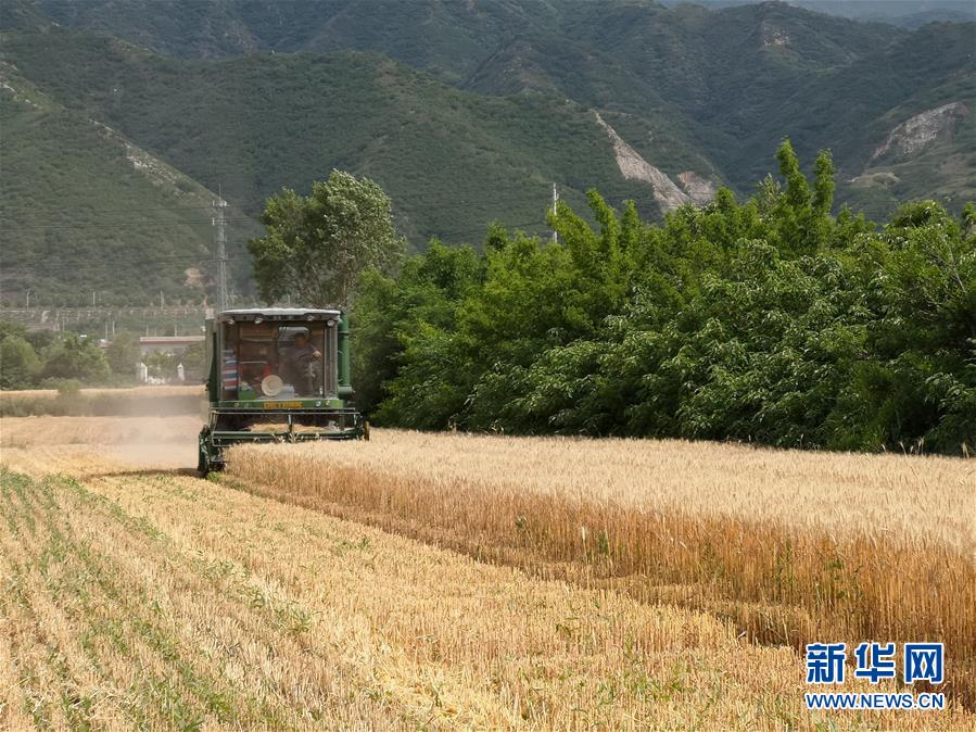 1126044079_15906337556041n.jpg 1126044079_15906337556041n.jpg