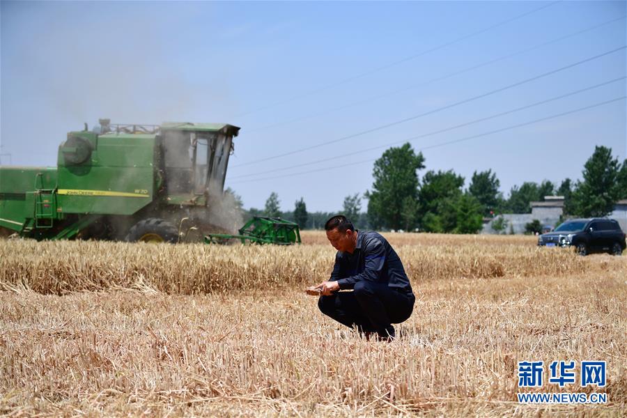 1126041756_15905860889591n.jpg 1126041756_15905860889591n.jpg