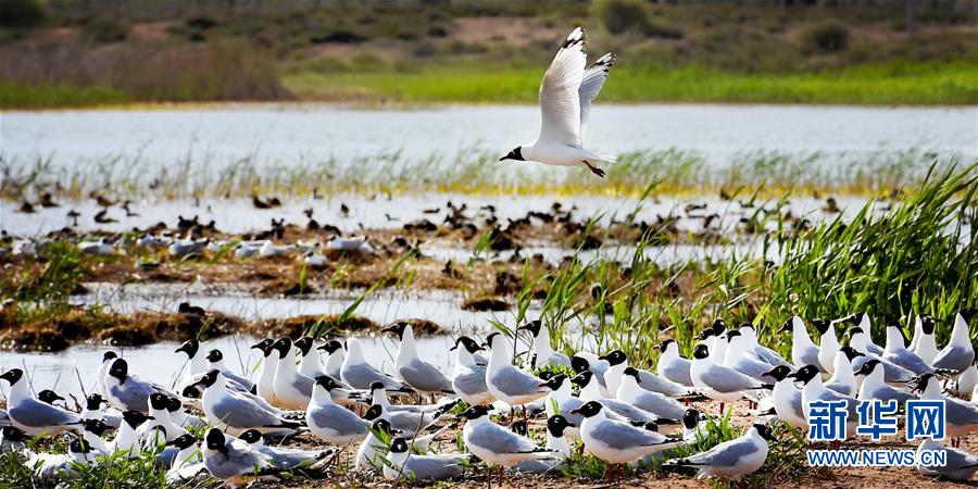 1126044729_15906471767551n.jpg 1126044729_15906471767551n.jpg